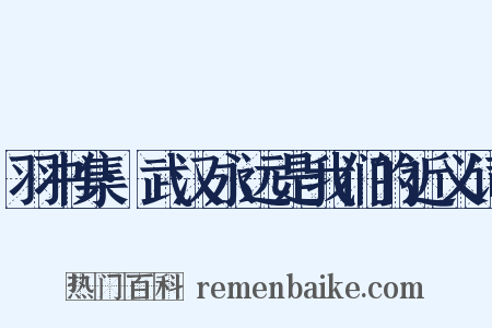 羽书集·武汉永远是我们的近义词是什么意思的图片